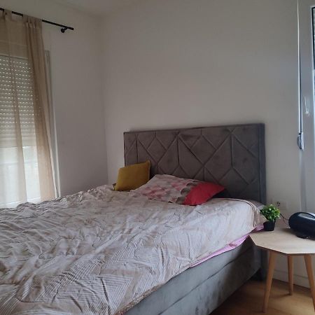 Ribnica Apartment Podgorica Ngoại thất bức ảnh
